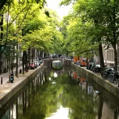 En vacker kanal i Amsterdam, med träd som kantar vattnet. Tänk dig att ta ett tåg från Stockholm till Amsterdam och uppleva denna vy.