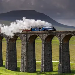 Ett blått ånglok med vagnar ångar fram över en ståtlig stenbro i Skottlands gröna landskap.