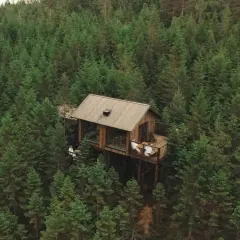 Bo i koja i skogen hotell, en modern träkoja mitt i en tät granskog.