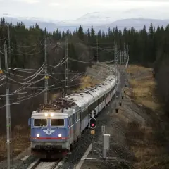 Ett SJ-tåg med nummer 1343 på väg mot Trondheim kurvar genom en skog med snöklädda berg i bakgrunden.