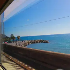 Tågluffa i Italien längs kusten, med blått hav och palmer som susar förbi fönstret.