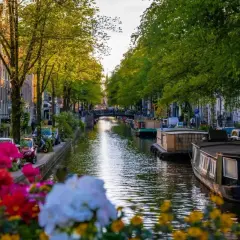 En vacker kanal i Amsterdam, perfekt för weekendresor. Husbåtar flyter på vattnet, kantade av träd och blommor.