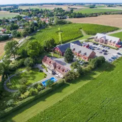 Vingårdar Skåne: en idyllisk lantgård med vinodlingar, pool och röda byggnader.