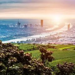 Vacker vy över Wien med Donau och vinodlingar i förgrunden. Perfekt för weekendresor Wien.