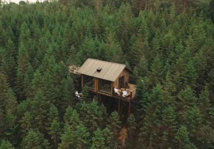 Bo i koja i skogen hotell, en modern träkoja mitt i en tät granskog.
