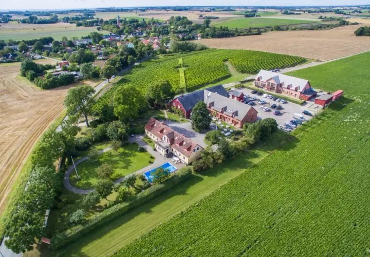Vingårdar Skåne: en idyllisk lantgård med vinodlingar, pool och röda byggnader.