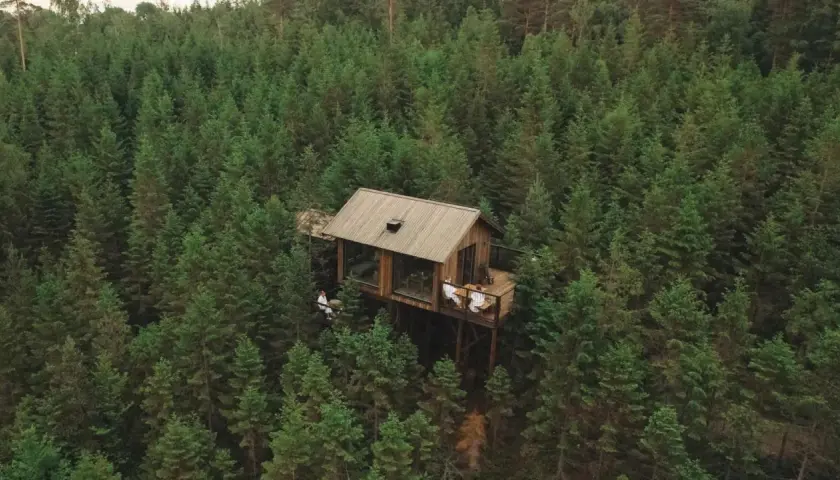 Bo i koja i skogen hotell, en modern träkoja mitt i en tät granskog.