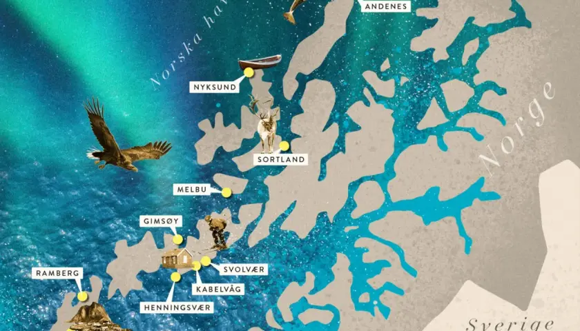 Map of Norway's Lofoten Islands with locations, wildlife, and aurora borealis.