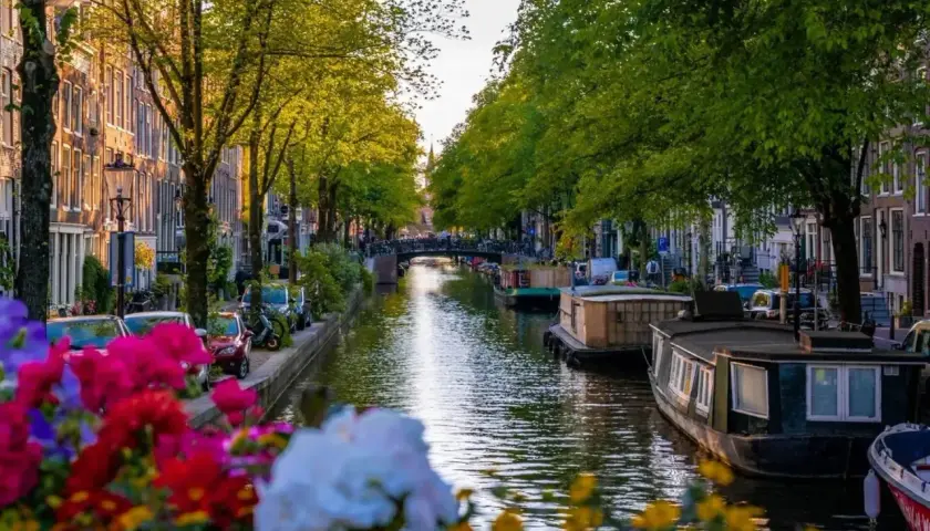 En vacker kanal i Amsterdam, perfekt för weekendresor. Husbåtar flyter på vattnet, kantade av träd och blommor.