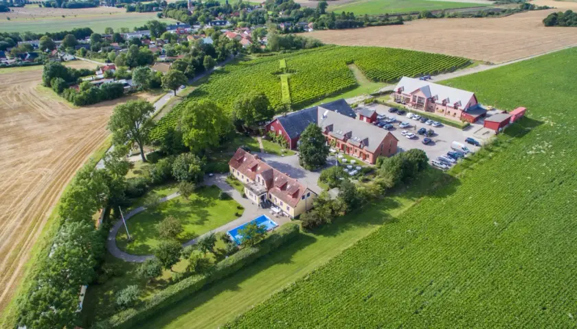 Vingårdar Skåne: en idyllisk lantgård med vinodlingar, pool och röda byggnader.