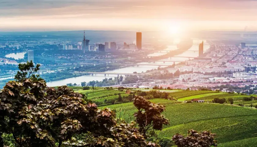 Vacker vy över Wien med Donau och vinodlingar i förgrunden. Perfekt för weekendresor Wien.