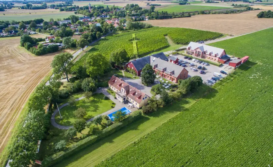 Vingårdar i Skåne - Så planerar du din perfekta vinrunda