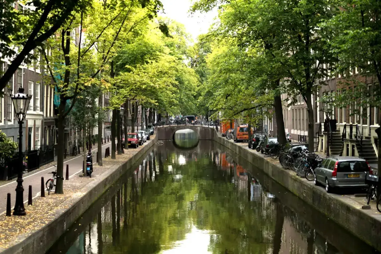 En vacker kanal i Amsterdam, med träd som kantar vattnet. Tänk dig att ta ett tåg från Stockholm till Amsterdam och uppleva denna vy.