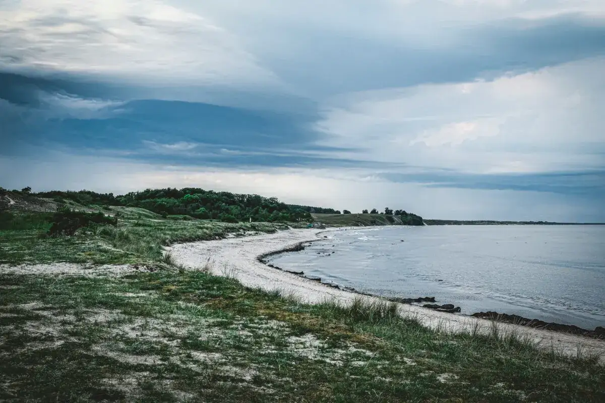 En vacker strandkant med gr&ouml;na kullar och skog l&auml;ngs kusten. Perfekt f&ouml;r en roadtrip i Sk&aring;ne.