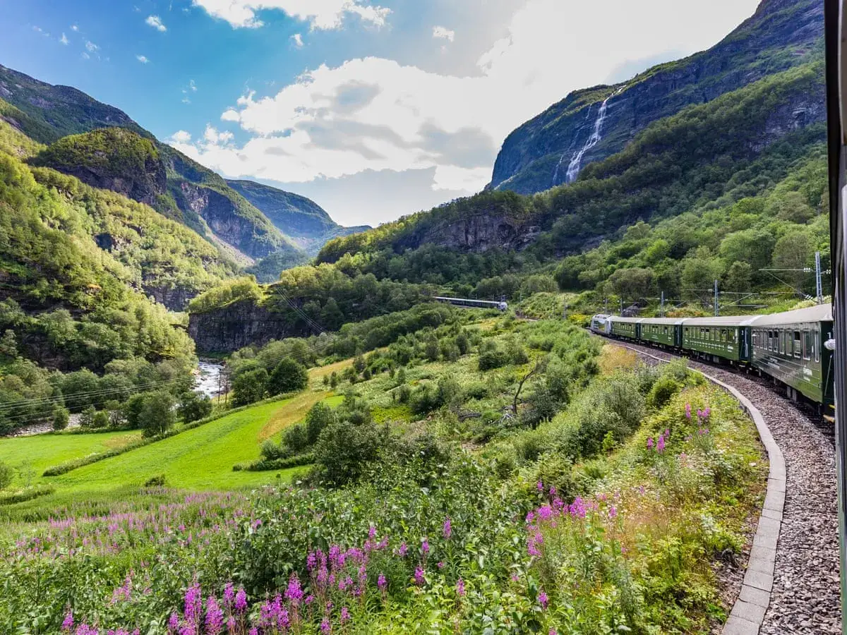 Gr&ouml;nt db t&aring;g slingrar sig genom en gr&ouml;nskande dal med en forsande flod och en vattenfall. Vackra lila blommor blommar l&auml;ngs sp&aring;ret.