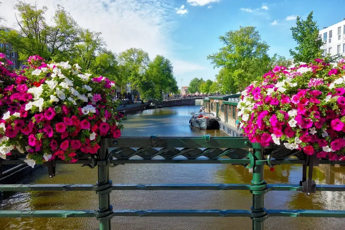 Färgglada blommor ramar in en kanal i Amsterdam, perfekt för weekendresor. Båtar flyter förbi husbåtar under en klarblå himmel.