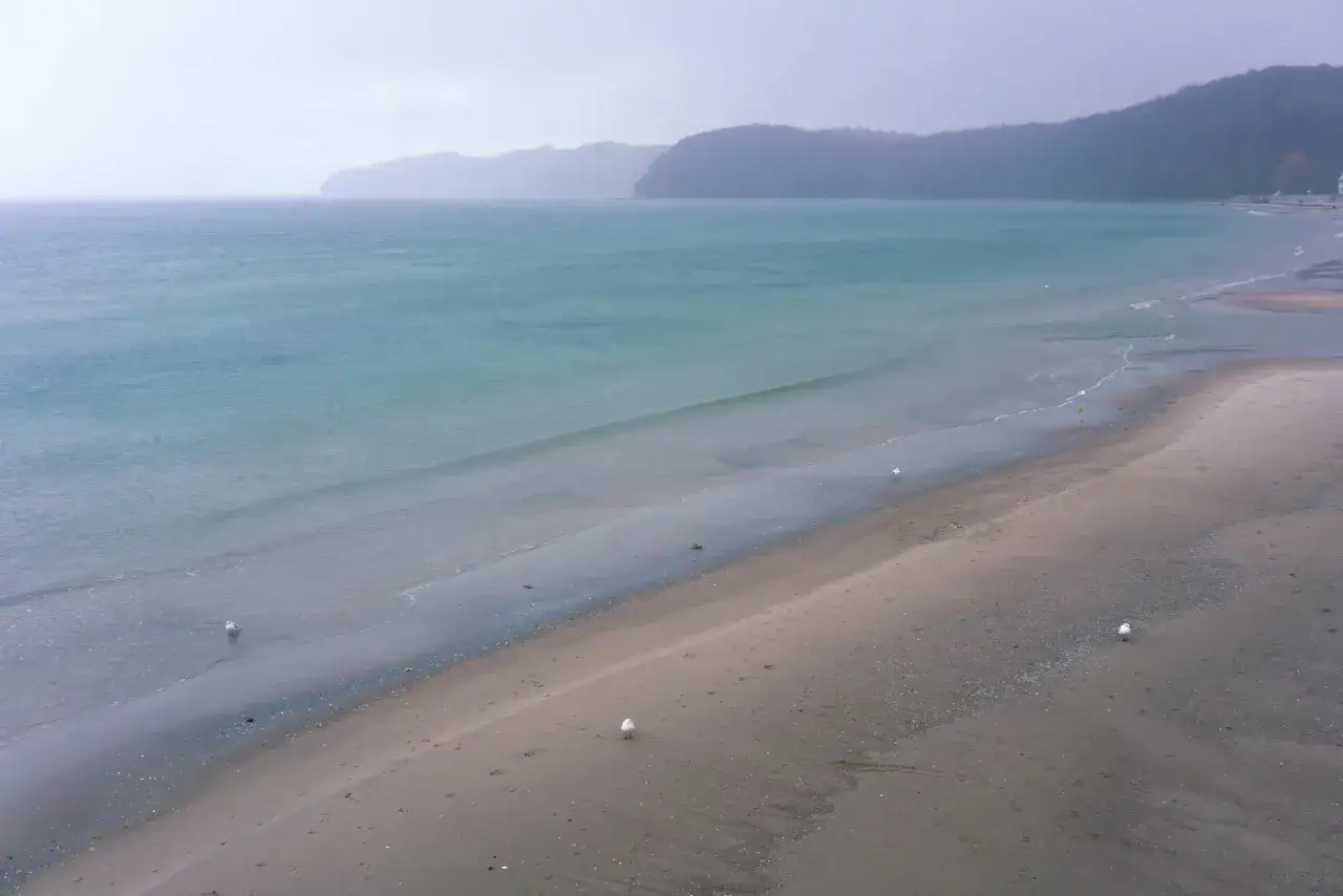 En gråmulen dag vid Östersjökusten, perfekt för en lugn badsemester i Tyskland. Måsarna strövar på stranden.
