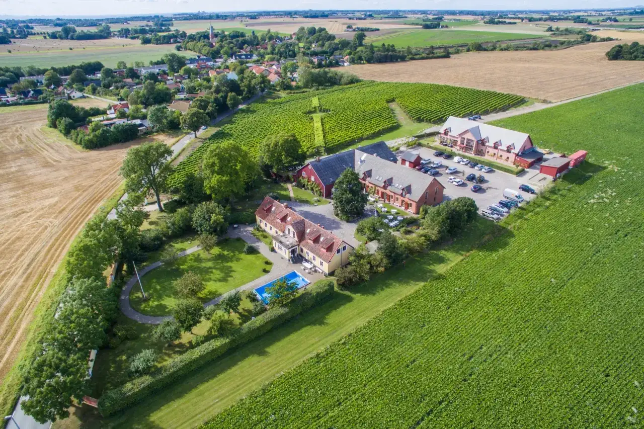 Vingårdar Skåne: en idyllisk lantgård med vinodlingar, pool och röda byggnader.