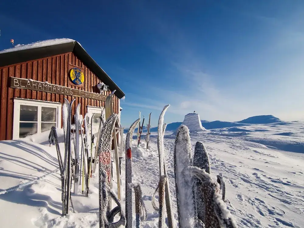 Snöklädda skidor vid Blåhammarens fjällstation, redo för en tur till Storulvån. Solen skiner på ett vidsträckt vinterlandskap.