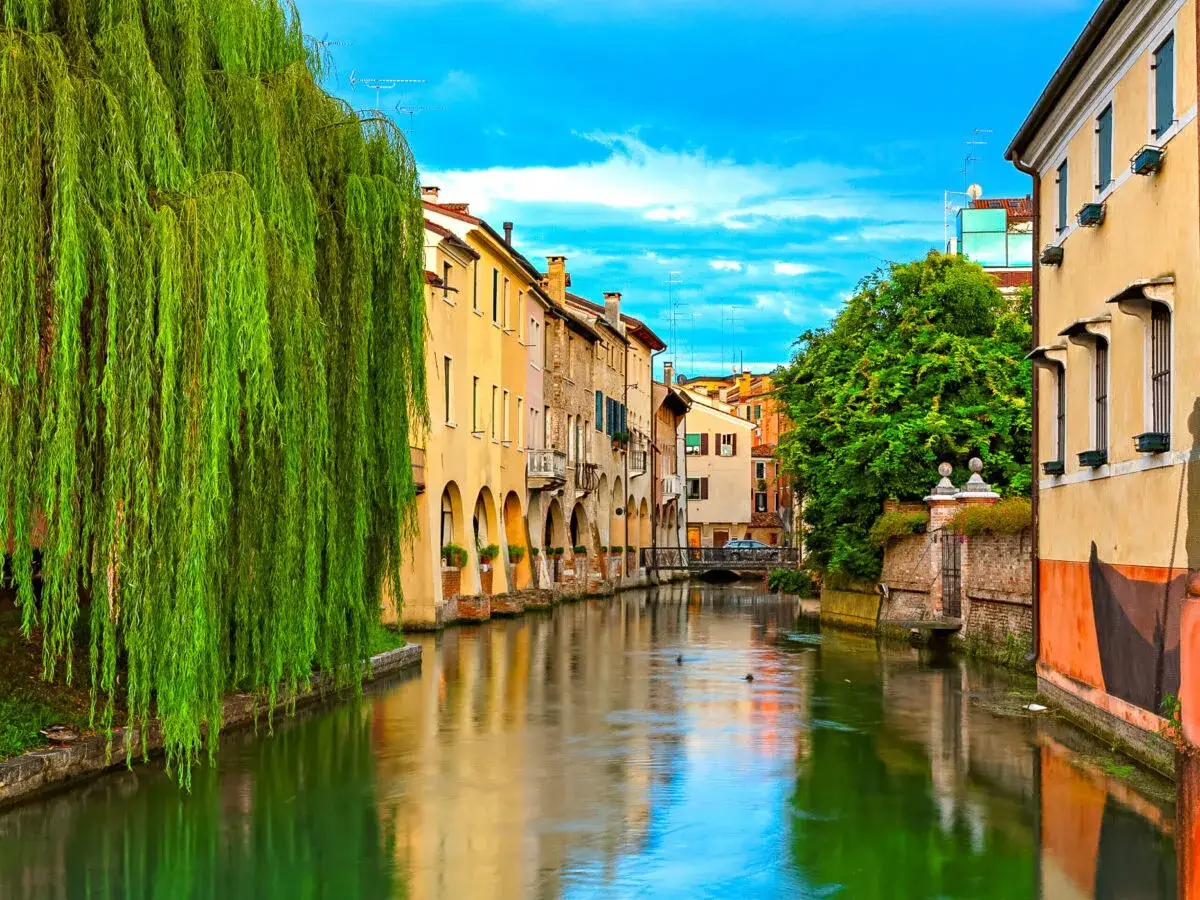 En grönskande kanal kantad av färgglada hus i Treviso, Italien. En gråtande pilträd hänger över vattnet.